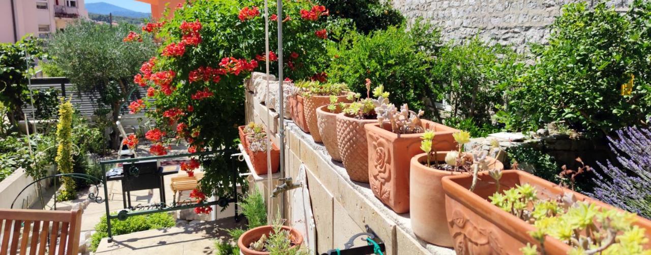 Apartment Alena With Terrace And Garden Center Jelsa Jelsa  Exterior photo