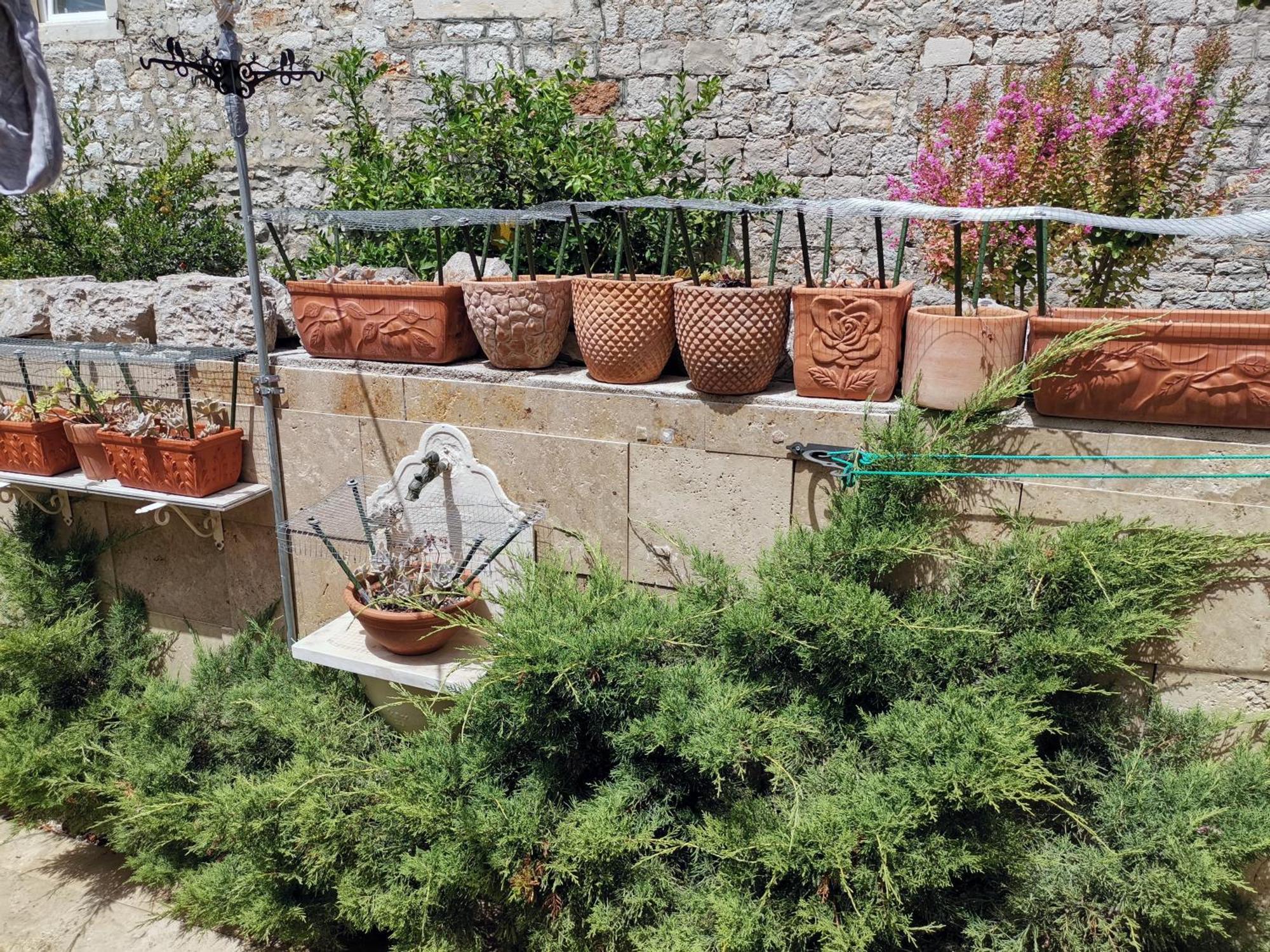 Apartment Alena With Terrace And Garden Center Jelsa Jelsa  Exterior photo